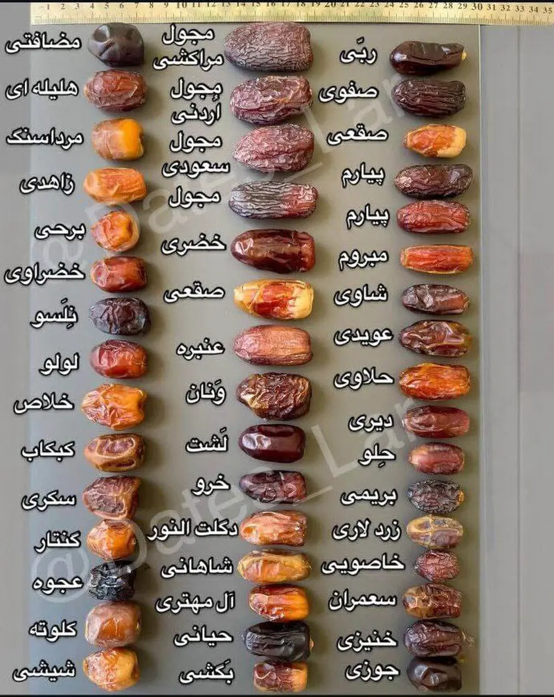 انواع خرما