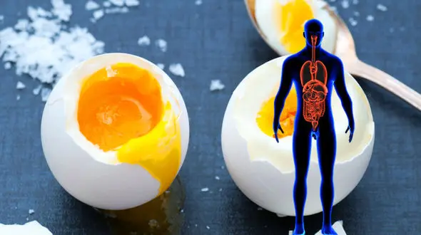 مزایای خوردن روزانه ۲ عدد تخم مرغ چیست؟