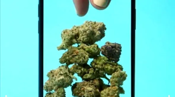 فروش مواد مخدر در اپل!