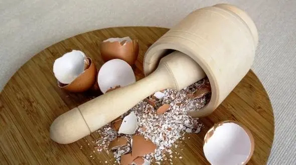 با پوست تخم مرغ پوست و موی تان را سالم نگه دارید