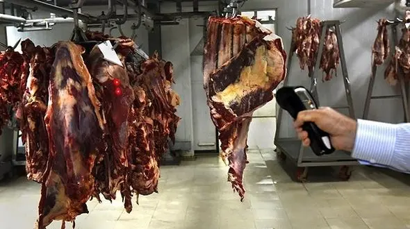  قیمت انواع گوشت گوساله ،گوسفند ،مرغ و بوقلمون در بازار