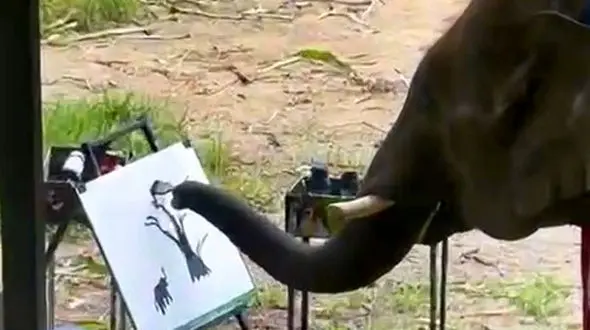 از نقاشی کشیدن فیل تا حیات وحش در یک نگاه