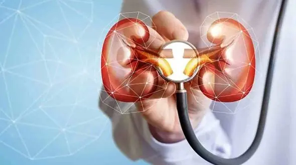 درمان های موثر سنگ کلیه