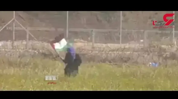 لحظه شلیک تک‌تیرانداز  به یک زن + فیلم 