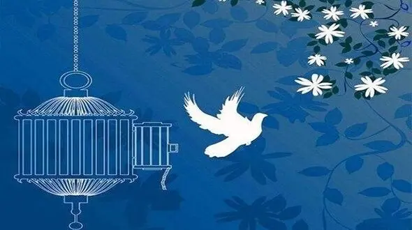 گذشت مادرشوهر از قصاص عروس قاتل در اردبیل / این زن با چاقو مرد جوان راکشته بود