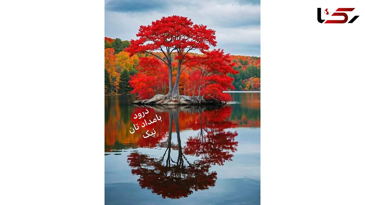 فال ابجد واقعی 12 آذر