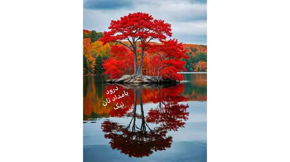 فال ابجد واقعی 12 آذر