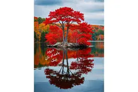 فال ابجد واقعی 12 آذر