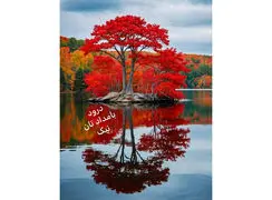 فال ابجد واقعی 12 آذر