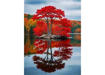 فال ابجد واقعی 12 آذر