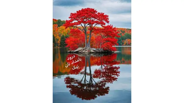 فال ابجد واقعی 12 آذر