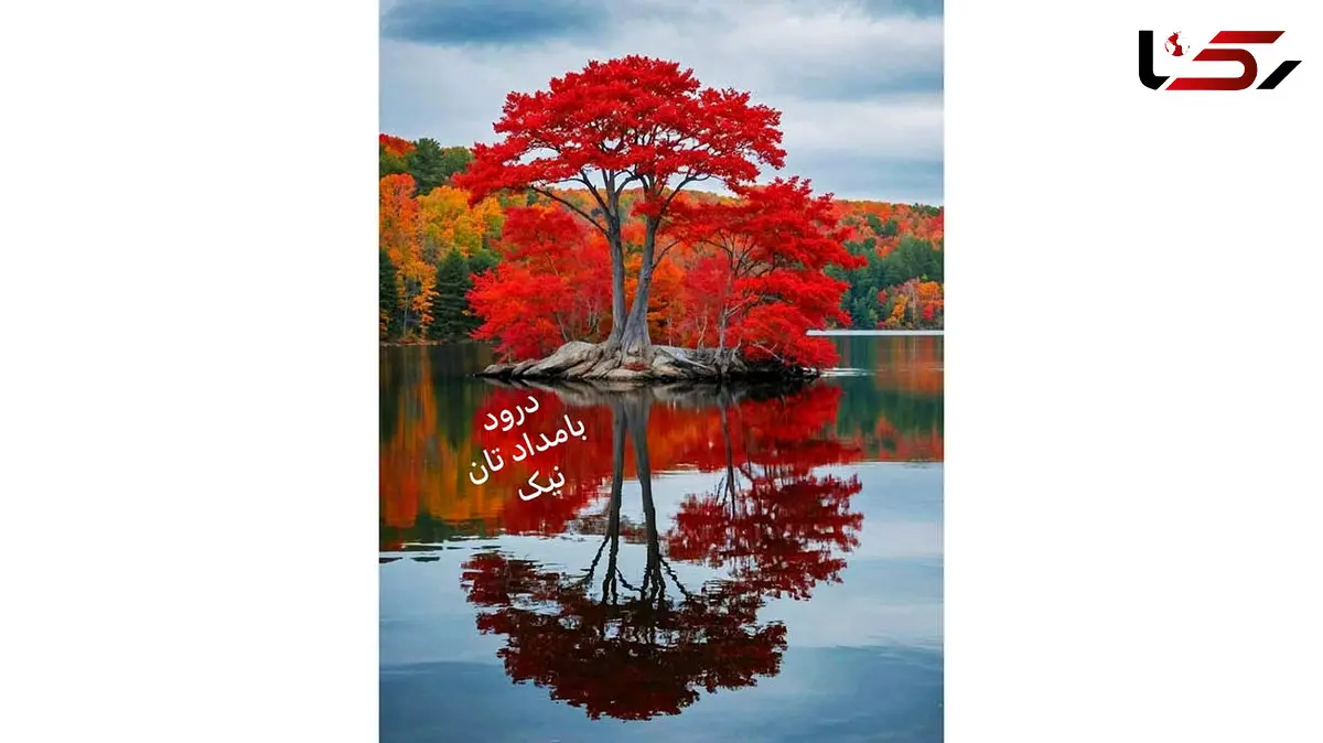 فال ابجد واقعی 12 آذر