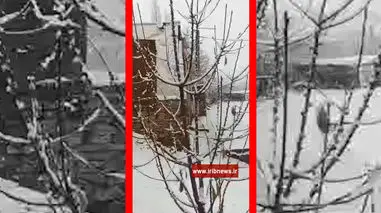 فیلم مناظر پاییزی و برفی سارال دیواندره