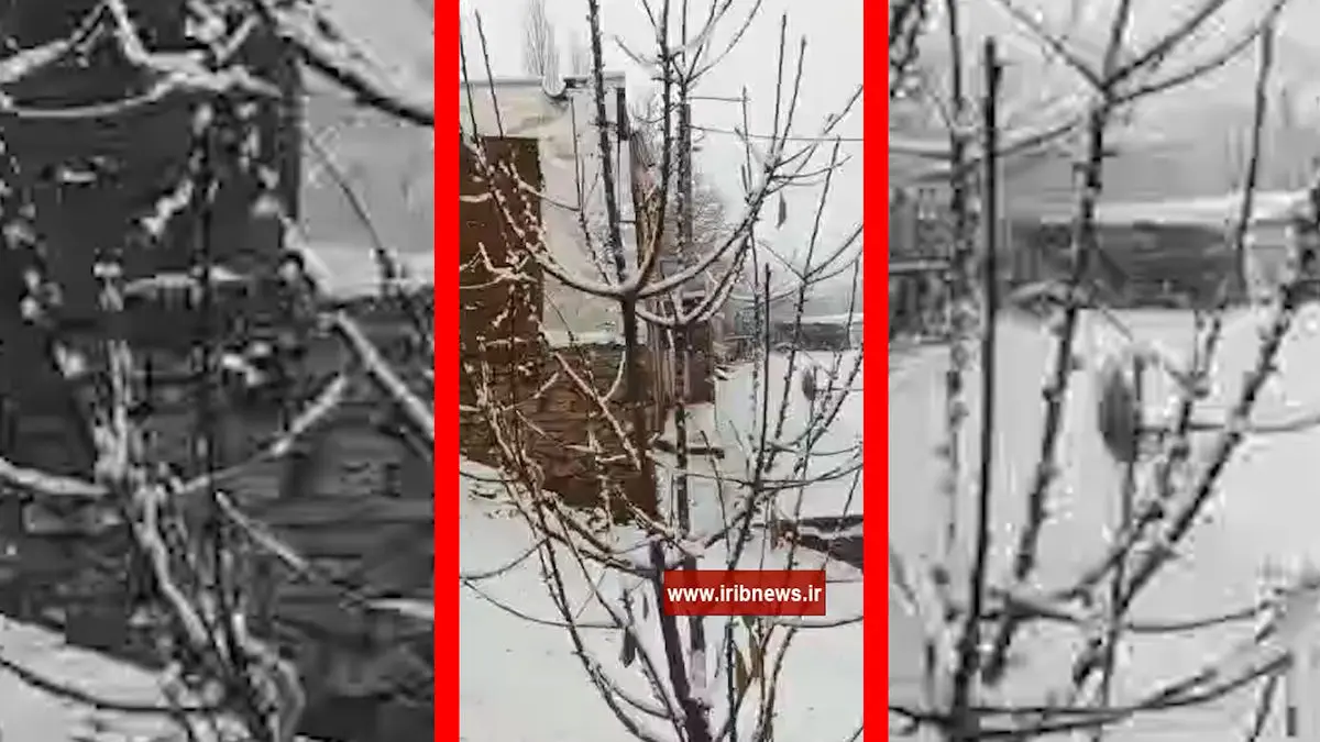 فیلم مناظر پاییزی و برفی سارال دیواندره