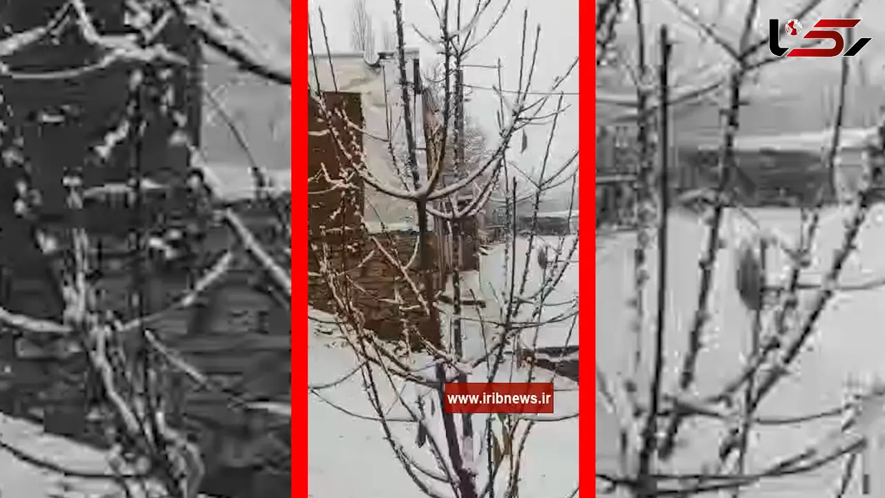 فیلم مناظر پاییزی و برفی سارال دیواندره