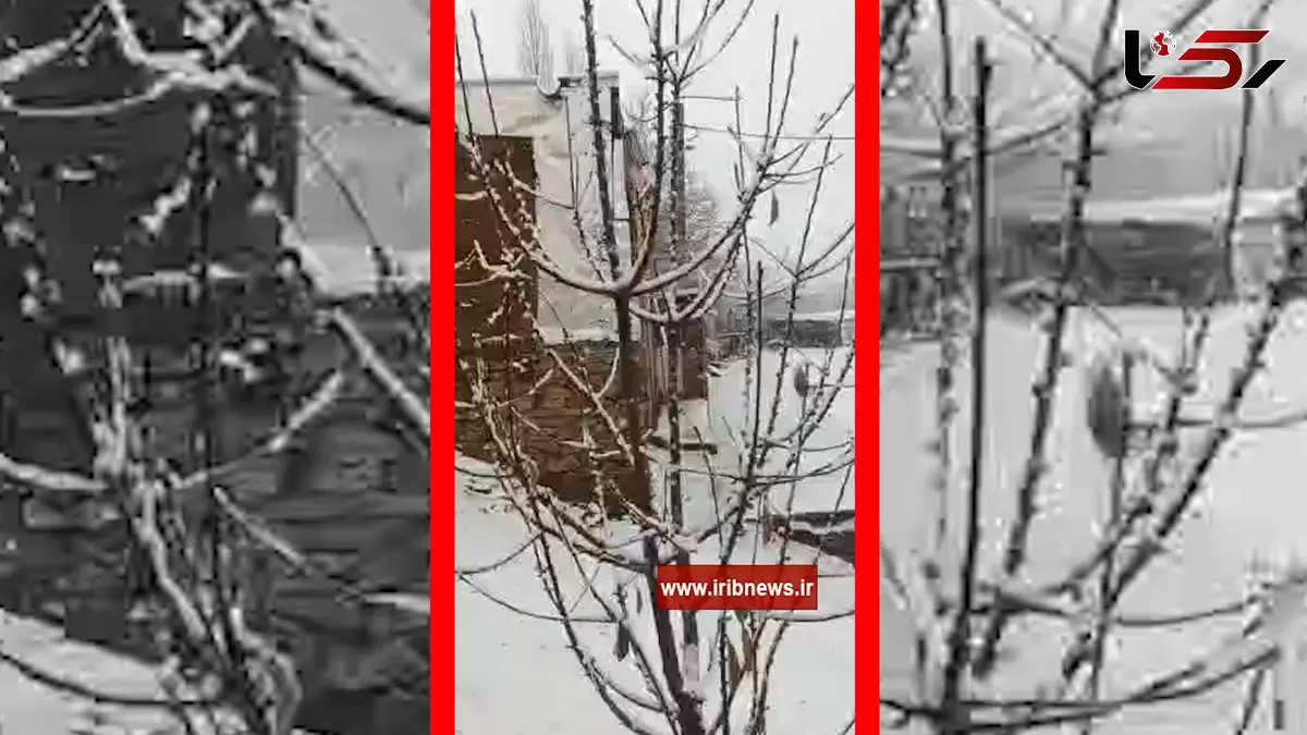 فیلم مناظر پاییزی و برفی سارال دیواندره