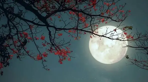  احتمال 25 ساعت شدن طول شبانه روز 