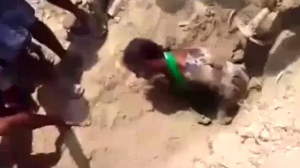 این دختر را ربودند و زنده به گور کردند+فیلم و تصاویر وحشتناک