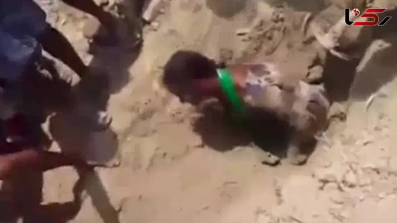 این دختر را ربودند و زنده به گور کردند+فیلم و تصاویر وحشتناک