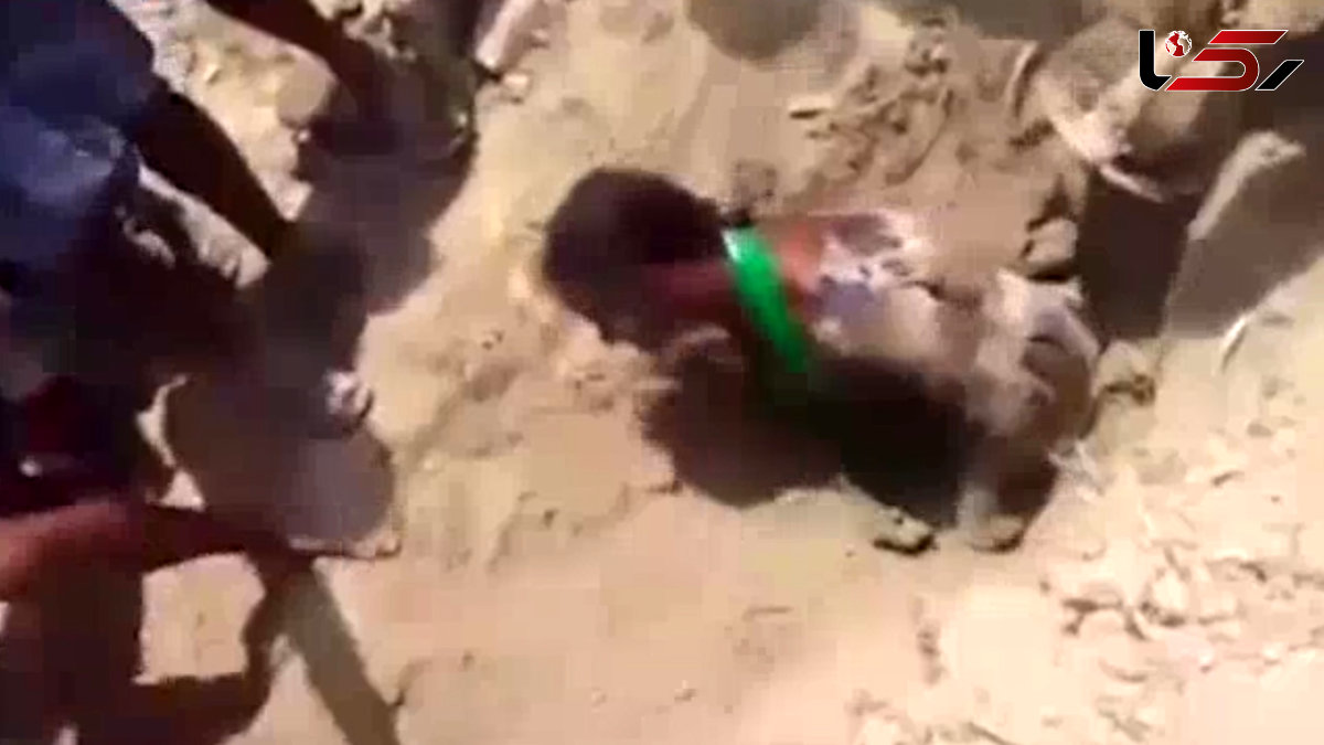 این دختر را ربودند و زنده به گور کردند+فیلم و تصاویر وحشتناک