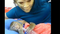 ببینید/ زهره ترک شدن یک بچه میمون از دیدن ماسک ترسناک + فیلم جالب