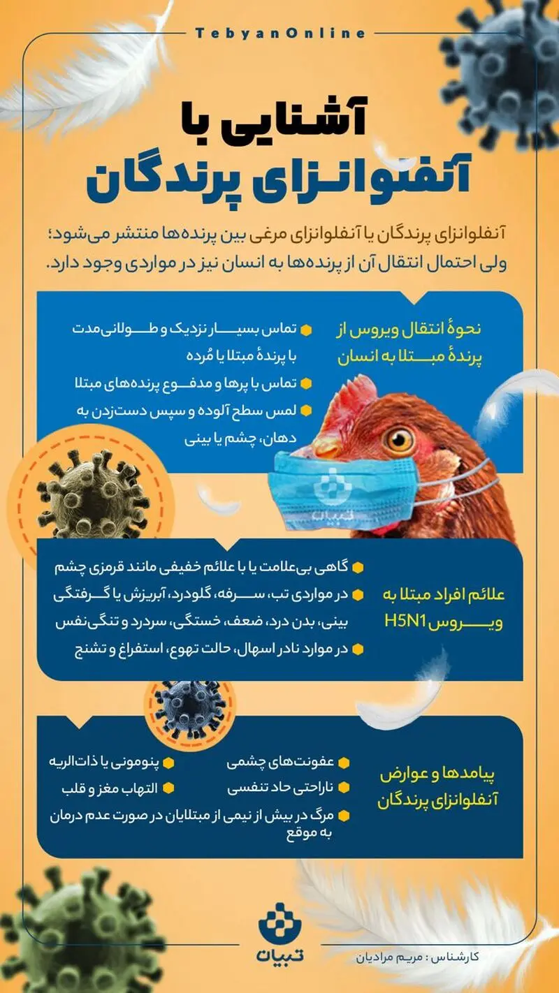 آنفلوآنزای پرندگان