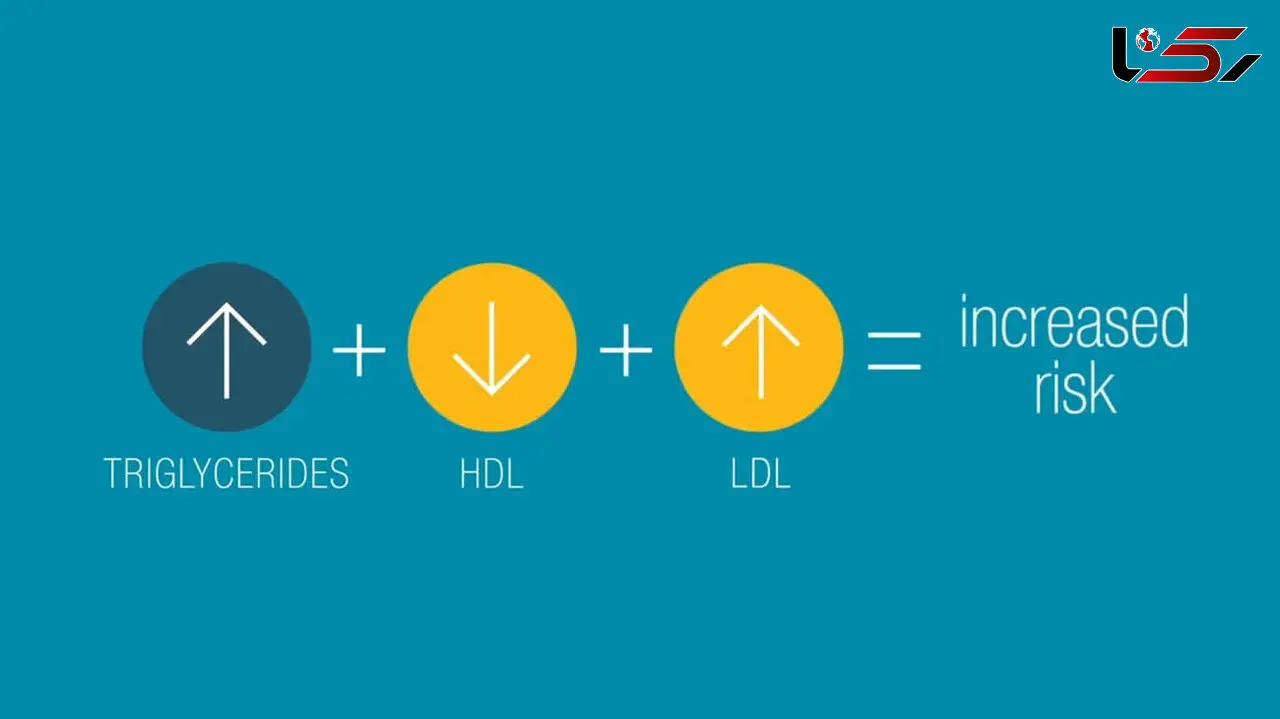 ldl cholesterol چیست؟ + فیلم 