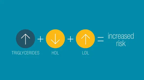 ldl cholesterol چیست؟ + فیلم 