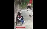 لحظه حمله عجیب 2 میمون به مرد حیوان آزار + فیلم و عکس