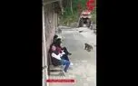 لحظه حمله عجیب 2 میمون به مرد حیوان آزار + فیلم و عکس