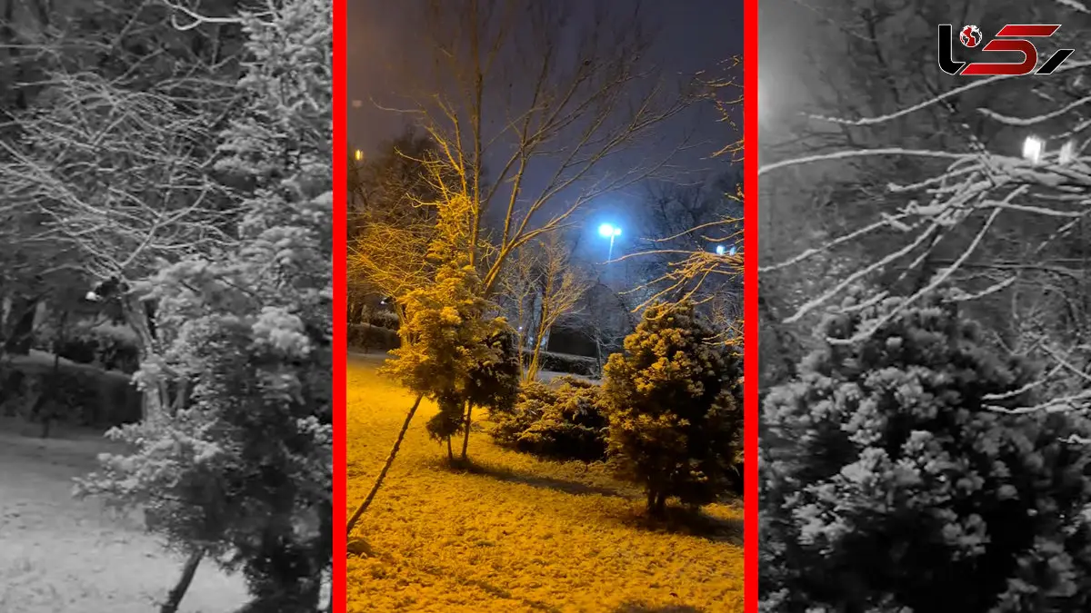 فیلم سپید پوش شدن استان اردبیل پس از بارش برف