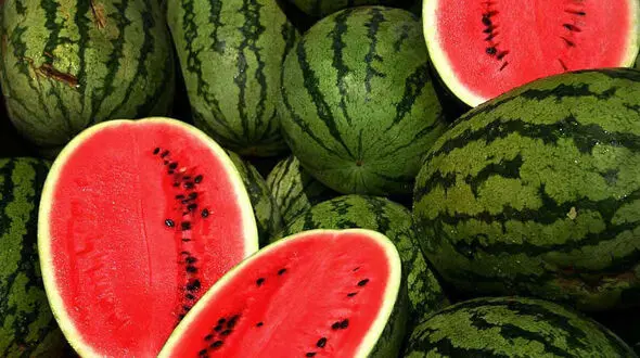 قیمت هندوانه شب یلدا اعلام شد 