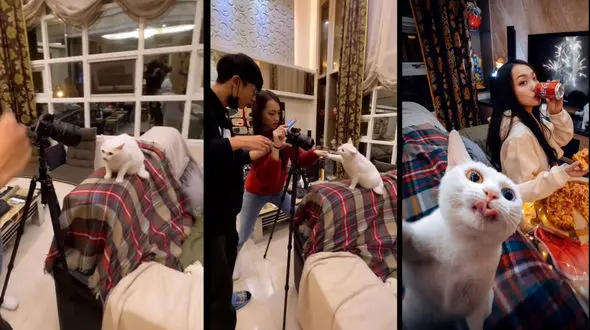 آموزش عکاسی با موبایل / ایده جالب برای عکاسی با حیوان خانگی + فیلم