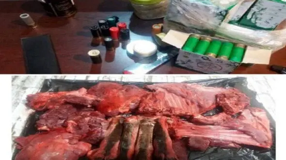 عکس تلخ از شکار بزکوهی در قروه / 3 شکارچی مسلح دستگیر شدند