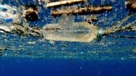 بازیافت بطری های رها شده در اقیانوس با آنزیم پلاستیک خوار