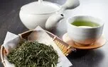 راز کاهش وزن با چای سبز، علمی اثبات شده / پاسخ به پرسش های متداول