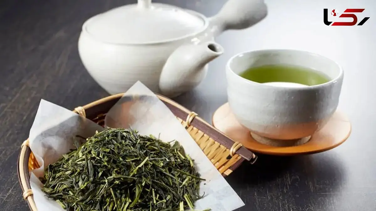 راز کاهش وزن با چای سبز، علمی اثبات شده / پاسخ به پرسش های متداول