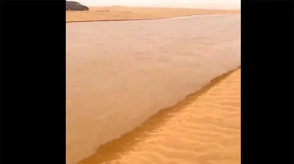 ببینید / پدیده‌ای نادر در طبیعت / سیل وسط کویر عربستان + فیلم