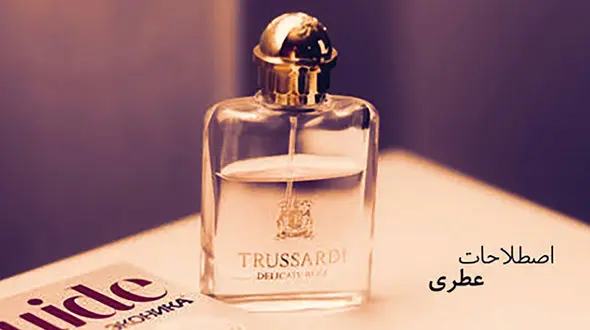با اصطلاحات عطری آشنا شوید