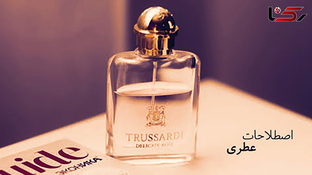 با اصطلاحات عطری آشنا شوید