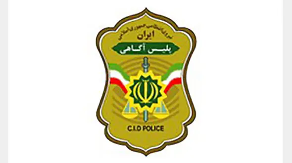 توصیه های معاون اجتماعی پلیس آگاهی به شهروندان تهرانی/ خانه‌هایتان را به هدف آسان تبدیل نکنید
