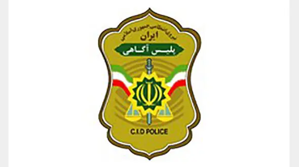 توصیه های معاون اجتماعی پلیس آگاهی به شهروندان تهرانی/ خانه‌هایتان را به هدف آسان تبدیل نکنید