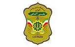 توصیه های معاون اجتماعی پلیس آگاهی به شهروندان تهرانی/ خانه‌هایتان را به هدف آسان تبدیل نکنید