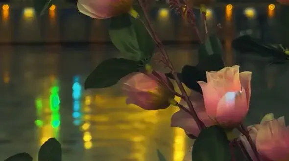 نماهنگ به مناسبت ولادت امام زمان(عج) با نوای مهدی رسولی