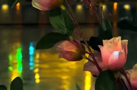 نماهنگ به مناسبت ولادت امام زمان(عج) با نوای مهدی رسولی