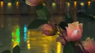 نماهنگ به مناسبت ولادت امام زمان(عج) با نوای مهدی رسولی