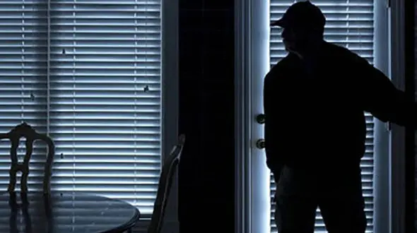 دستگیری سارقان حرفه ای در چهارمحال و بختیاری 