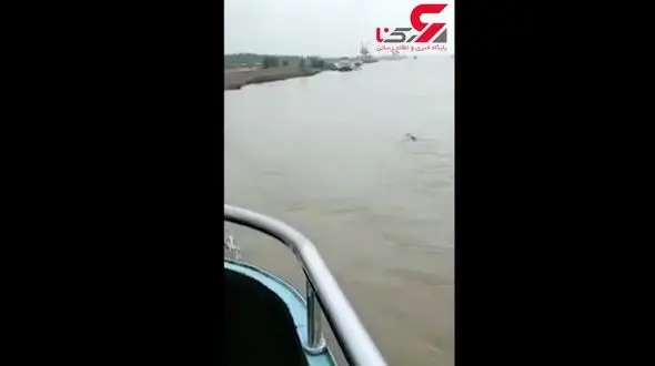 رؤیت هیولای غول پیکر در رودخانه‌ای در چین! + فیلم 