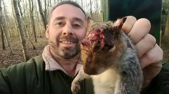 اعتراض شدید به قتل عام سنجاب ها + تصاویر