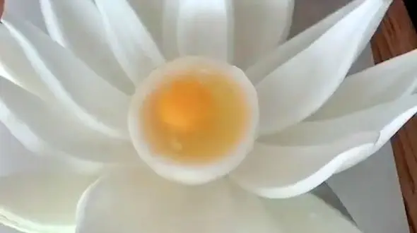 تخم مرغ داخل پیاز + فیلم 